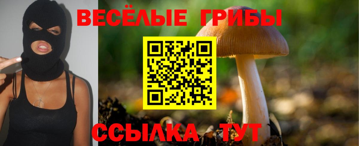 Псилоцибиновые грибы ЛСД Долгопрудный