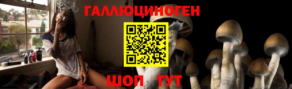 Долгопрудный  Псилоцибиновые грибы MAGIC MUSHROOMS  Вход с VPN 